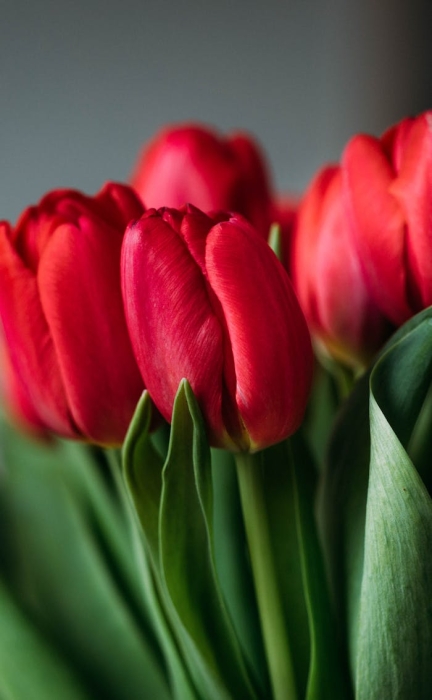 seo����Ҫע��ʲô��